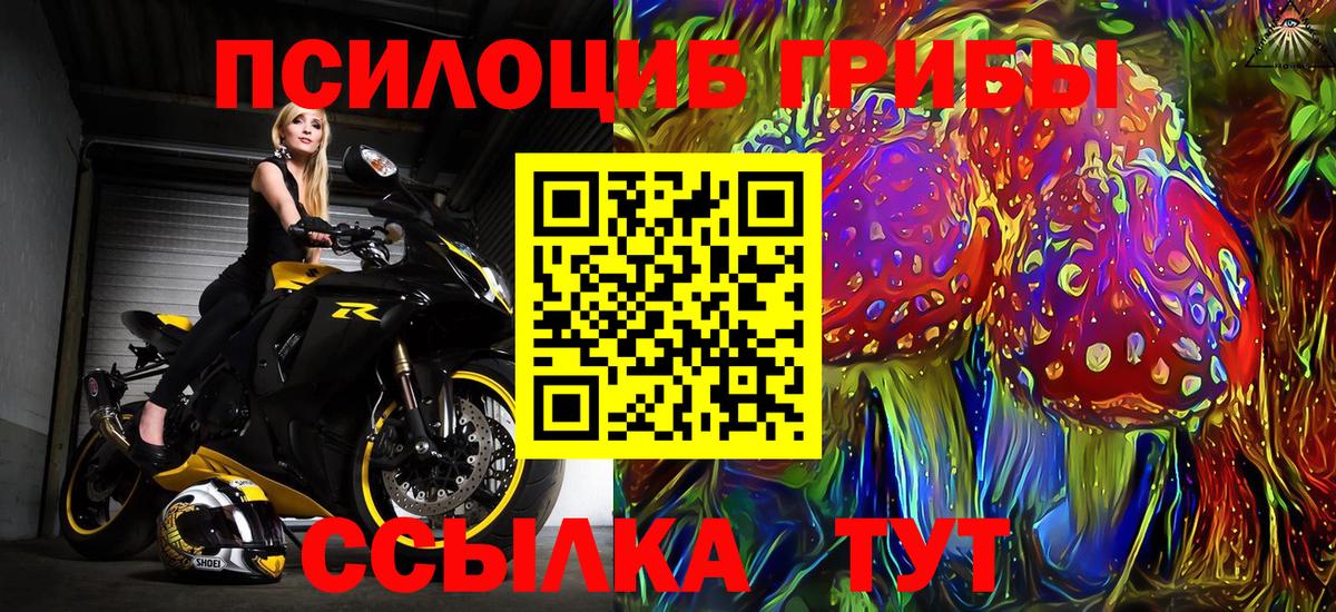 Галлюциногенные грибы Psilocybe Королёв